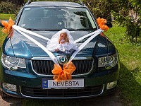 IMG 4641