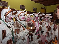IMG 5738
