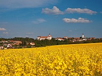 Žluté Jevišovice - řepka (09.05.2009)